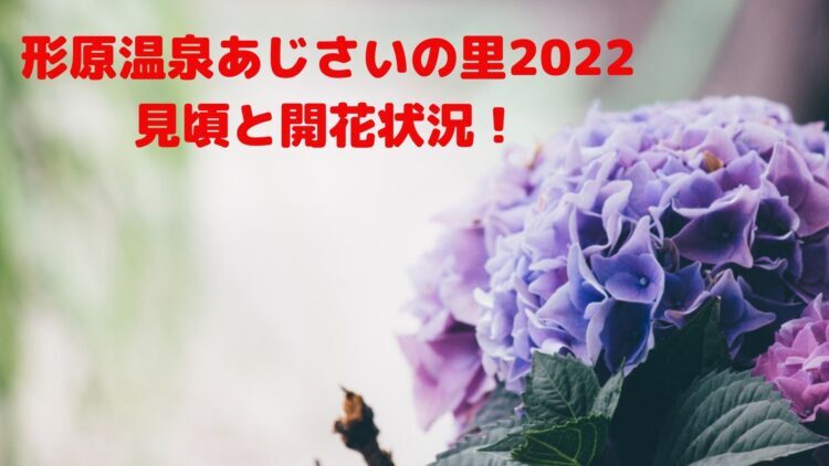 形原温泉あじさいの里22の見頃と開花状況 駐車場やライトアップは 季節の情報なび