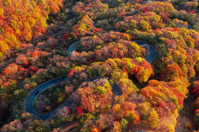 いろは坂紅葉22の渋滞や混雑は ライブカメラや駐車場ビュースポットについて 季節の情報なび