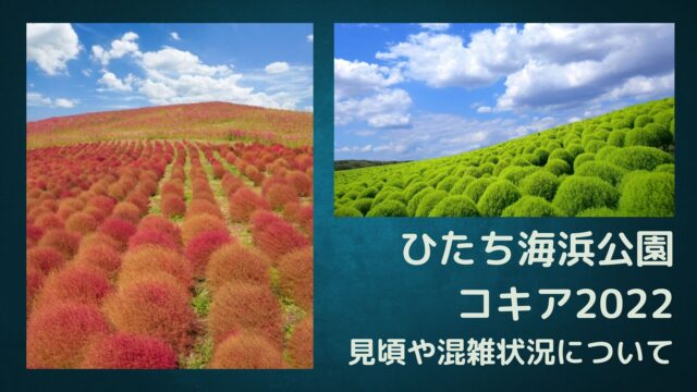 ひたち海浜公園コキア見頃22 混雑やライトアップ情報 季節の情報なび